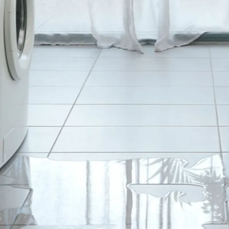 Appliance Leak Cleanup in Vidalia, GA