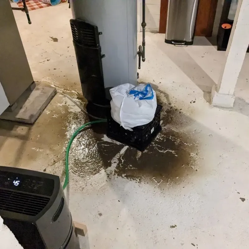Sewage Backup Cleanup Service in Vidalia, GA